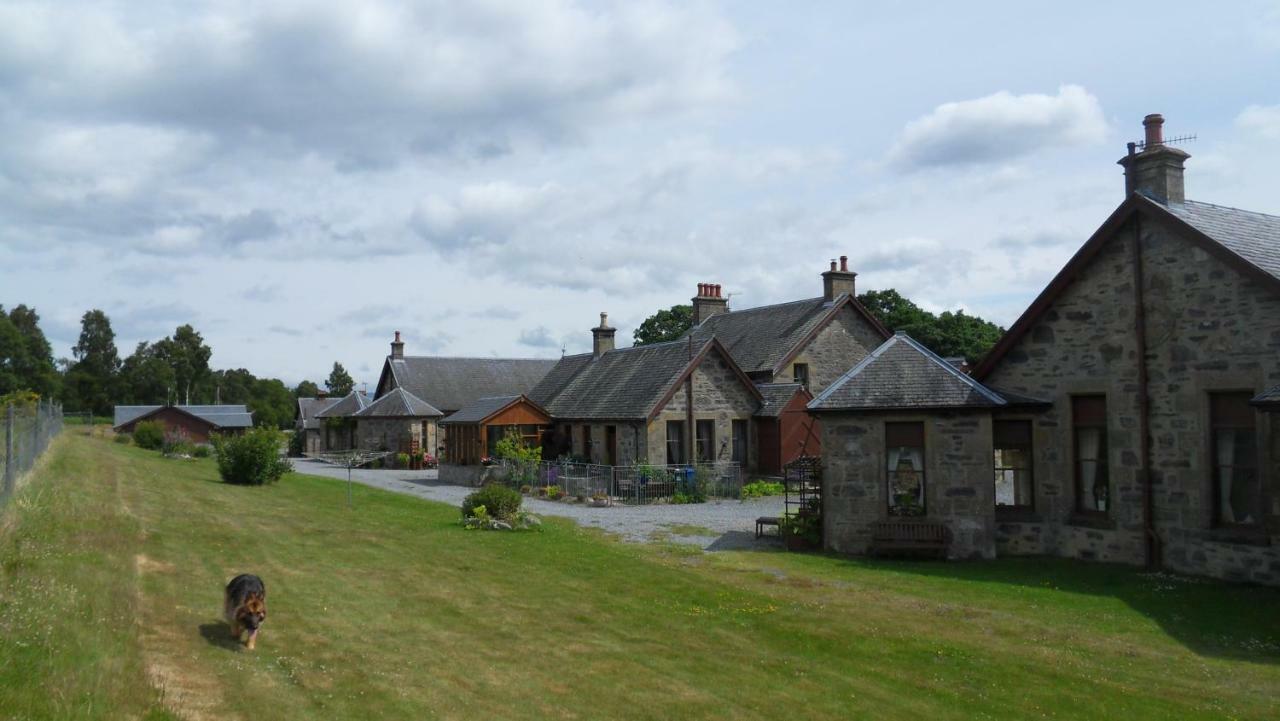 Ferienhaus Meadowside *